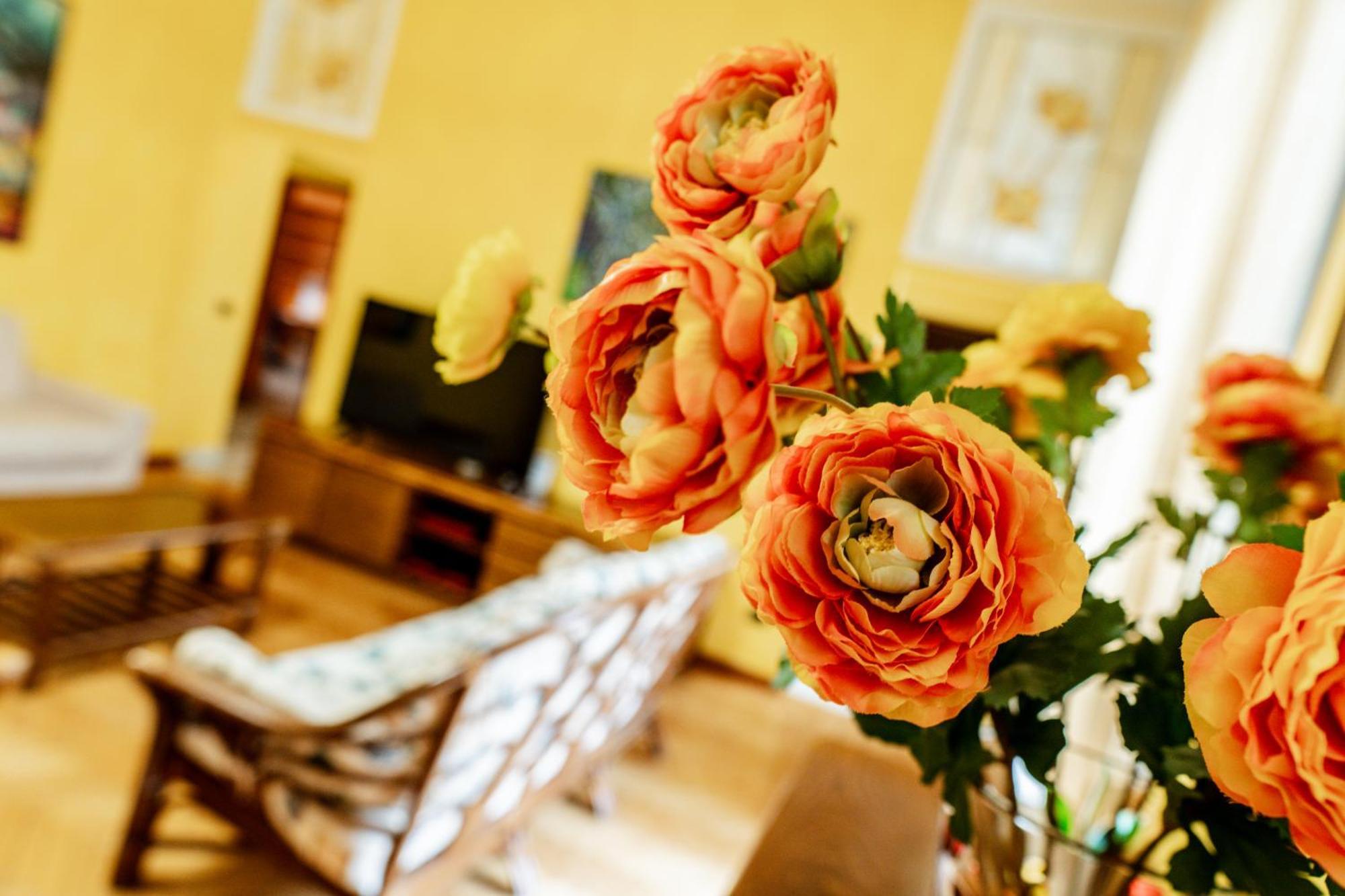 Casa vacanze - House Stop&Go Busto Arsizio Esterno foto